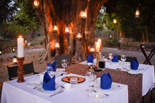 bandhavgarh meadow hotel