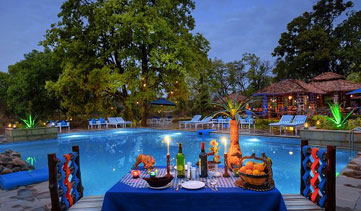 bundela jungle lodge