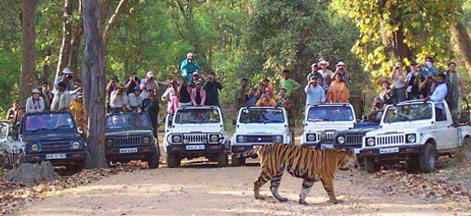 corbett 2 days package