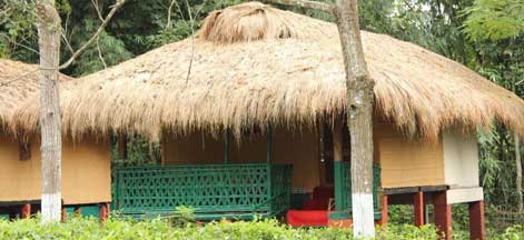 nature hunt kaziranga