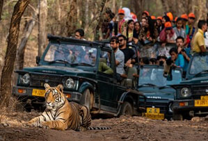 panna national park india