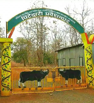 pitezari safari gate