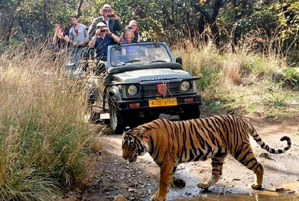 ranthambore jeep safari