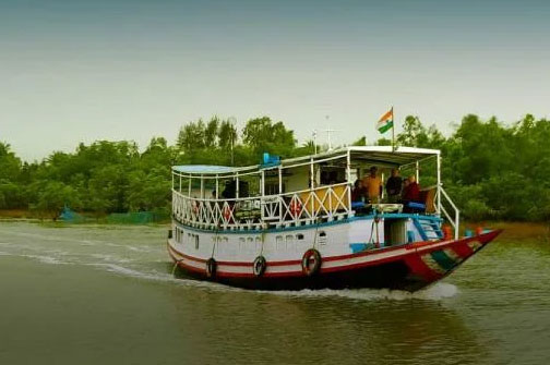 sundarbans safari india